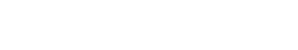 Mirror plus Logo